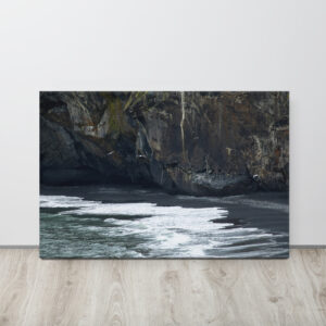 Black Shore Reverie