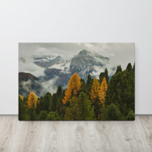 Mistbound Forest