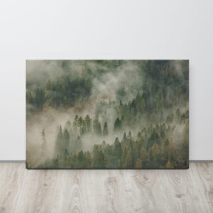 Veil of the Pine Forest